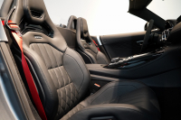 AMG その他 Mercedes-AMG GTR ROADSTER 世界限定車 カーボンセラミックブレーキ セレナイトグレーマグノ  中古車