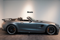 AMG その他 Mercedes-AMG GTR ROADSTER 世界限定車 カーボンセラミックブレーキ セレナイトグレーマグノ  中古車