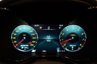 AMG その他 Mercedes-AMG GTR ROADSTER 世界限定車 カーボンセラミックブレーキ セレナイトグレーマグノ  中古車